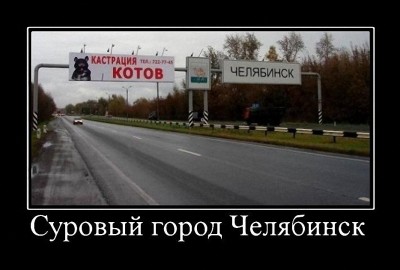 dlyakota.ru_fotoprikoly-s-kotami_chelyabinskie-koty-nastolko-surovy-chast-2-ya_9.jpeg