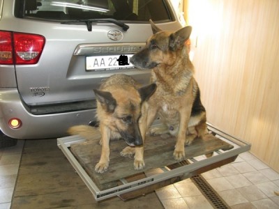 IMG_5261 11.jpg (90.29 КБ) 6626 просмотров IMG_5261 11.jpg