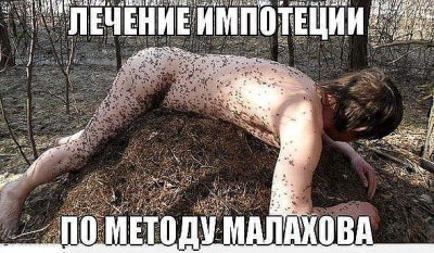 image (19).jpg