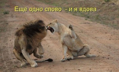 getImage (2).jpg