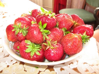 IMG_6387 1.JPG