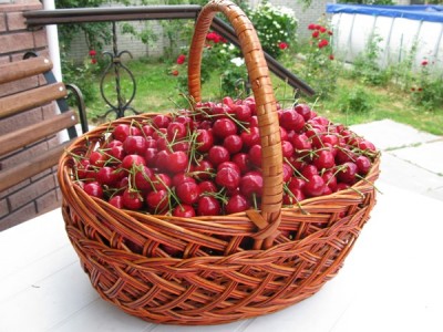 IMG_6497 1.JPG