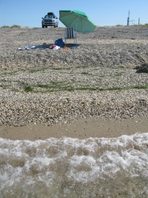 IMG_6708 1.JPG