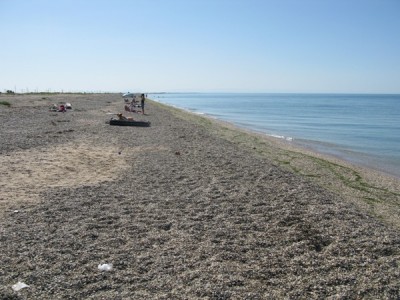 IMG_6686 1.JPG