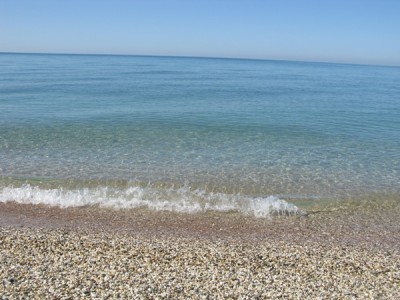 IMG_6697 1.JPG