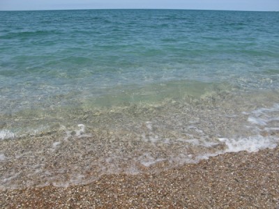 IMG_6748 1.JPG