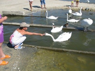 IMG_6734 1.JPG
