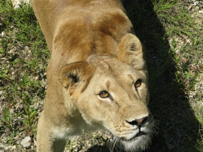 IMG_6816 3.JPG