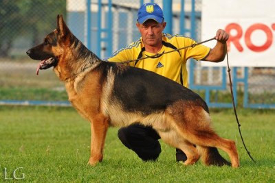 VA 2 (UA) Flaps vom Bergmannsland.jpg (44.46 КБ) 4418 просмотров VA 2 (UA) Flaps vom Bergmannsland.jpg