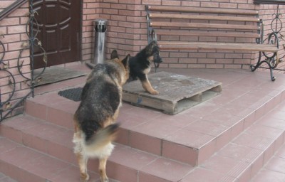 IMG_7900 2.JPG