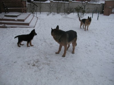 IMG_8146 1.JPG