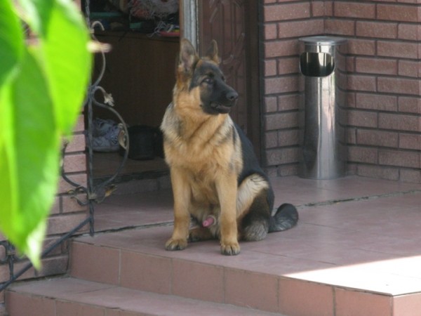IMG_8893 1.JPG