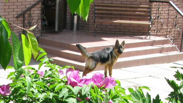 IMG_8890 4.JPG