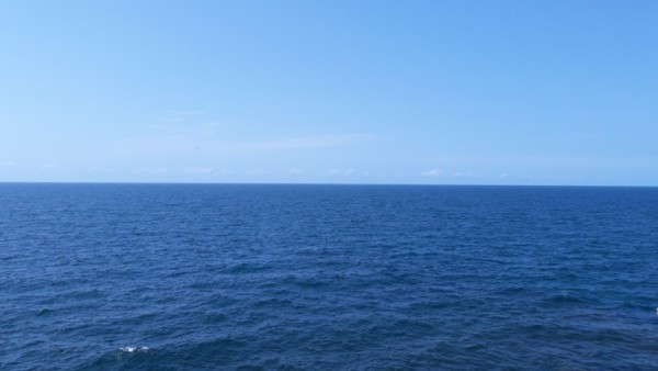 20170728_113945 1.jpg