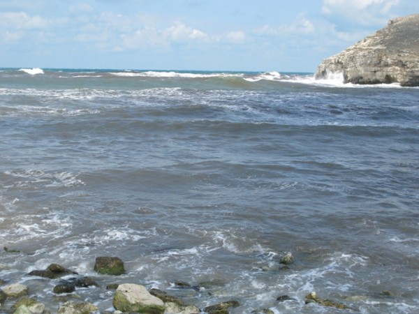 IMG_1325.JPG