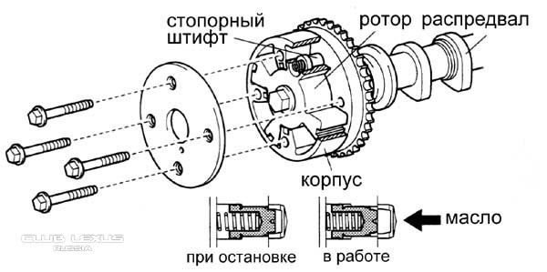 муфта vvt-i.jpg