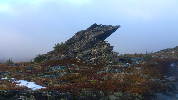 DSC_2808.jpg