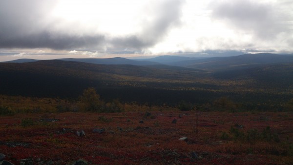 DSC_2869.jpg