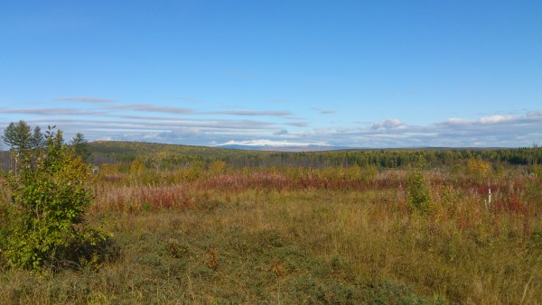 DSC_2903.jpg