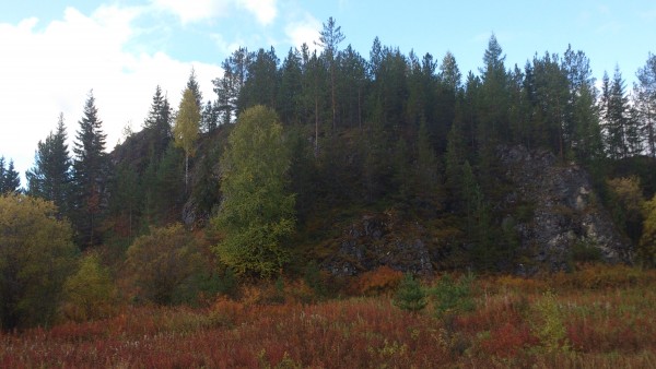 DSC_2906.jpg