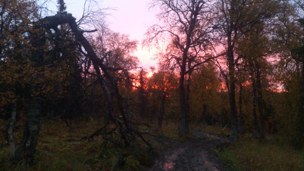 DSC_2789.jpg