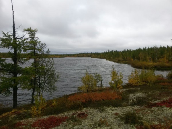 с телефона 189.jpg (200.22 КБ) 2631 просмотр с телефона 189.jpg