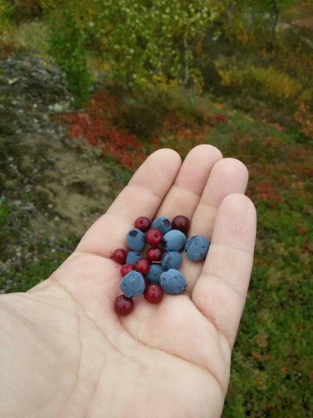 с телефона 182.jpg (105.84 КБ) 2477 просмотров с телефона 182.jpg