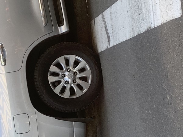 308571E6-B20F-4486-BB02-32BF1A858383.jpeg (1.5 МБ) 4671 просмотр 308571E6-B20F-4486-BB02-32BF1A858383.jpeg