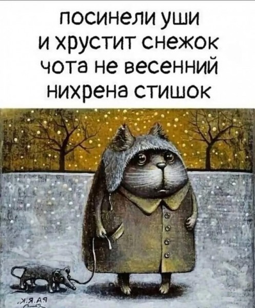 16572302.jpg
